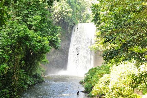 LAKE SEBU: All You Need to Know BEFORE You Go .